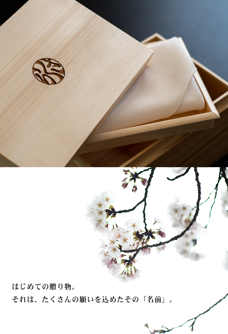 こまもり箱の小林大伸堂